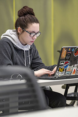 photo of a student using a laptop