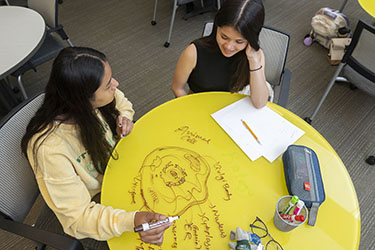 photo of a student tutoring a student