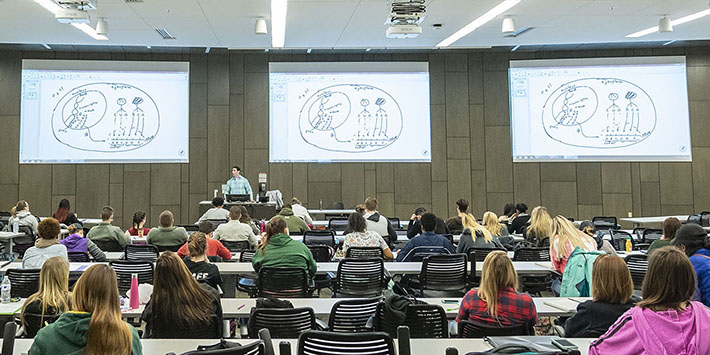photo of students and a professor in a classroom