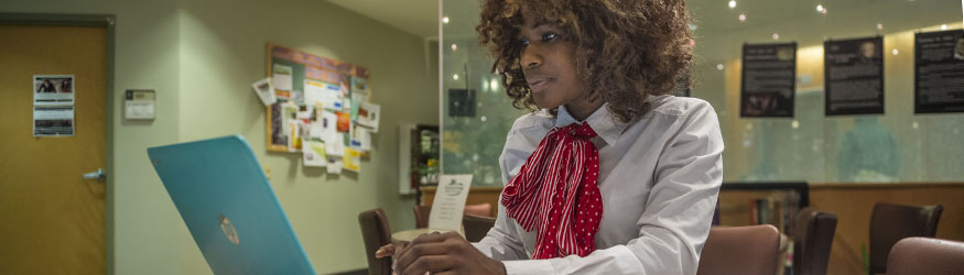 photo of a student using a laptop