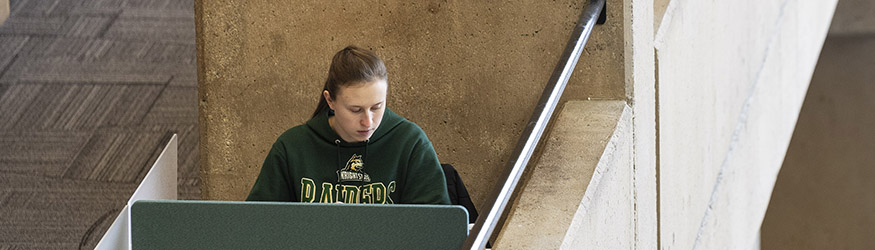photo of a student studying in the library