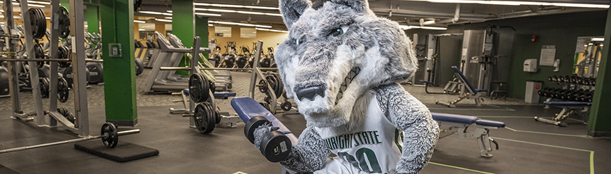 photo of rowdy lifting weights in the gym