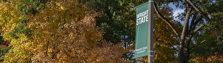 photo of a pole banner on campus