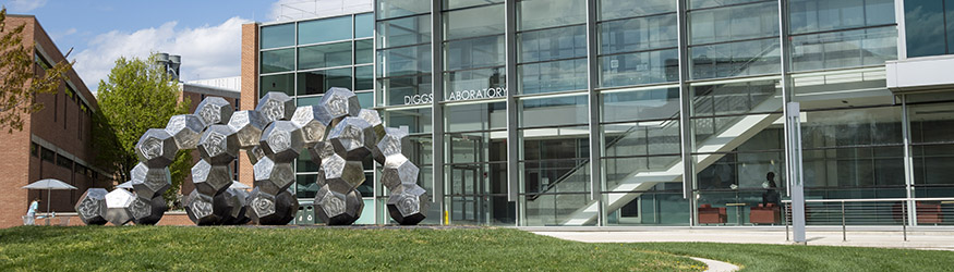 photo of the diggs lab