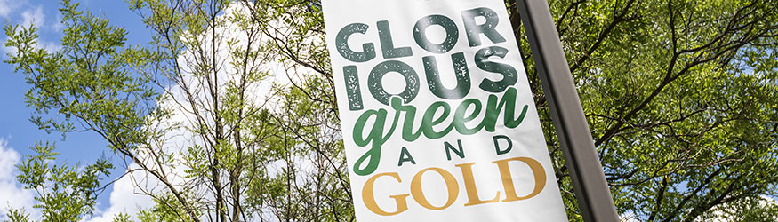 photo of a glorious green and gold pole banner