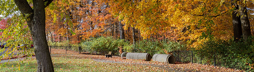 photo of the wingerd service dog park on campus