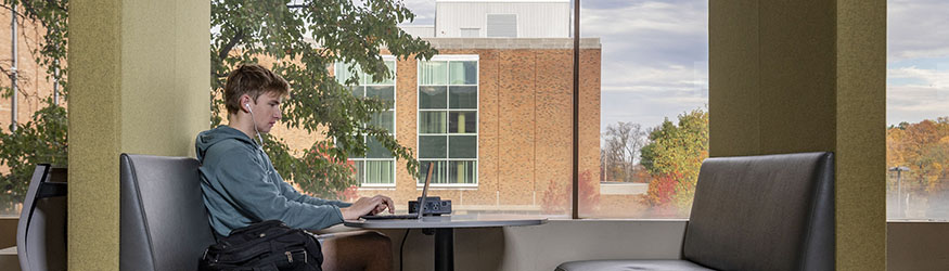 photo of a student studying in the library