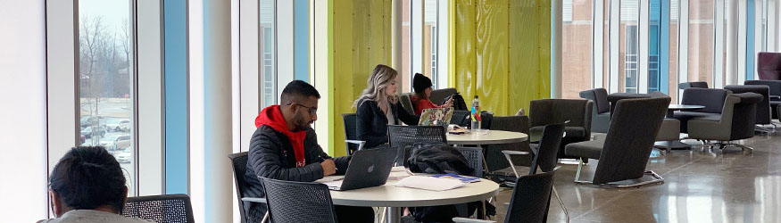 photo of students using laptops