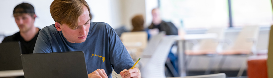 Image of student working in lounge