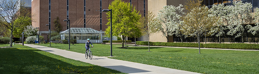 photo of a person riding a bicycle on campus