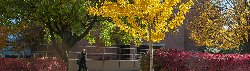 photo of people walking on campus