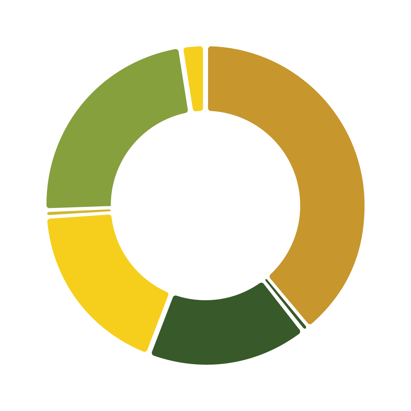 Pie Chart - Total Minority Student Enrollment