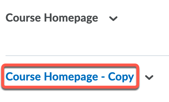 Course Homepage - Copy