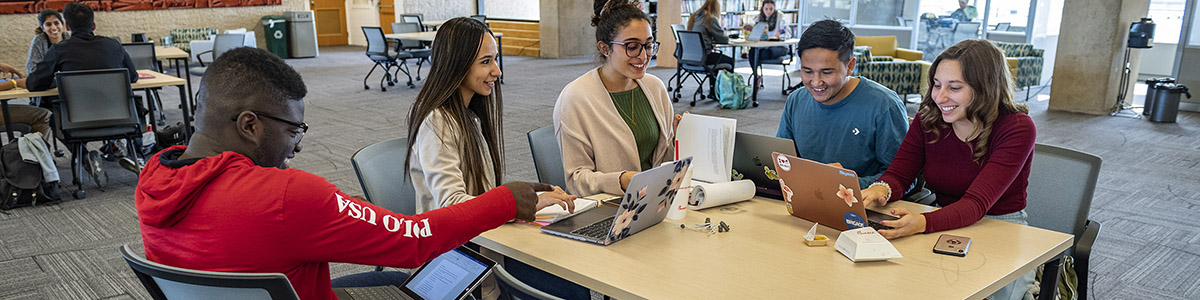 photo of students working on laptops