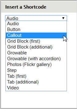 "Insert shortcode" menu