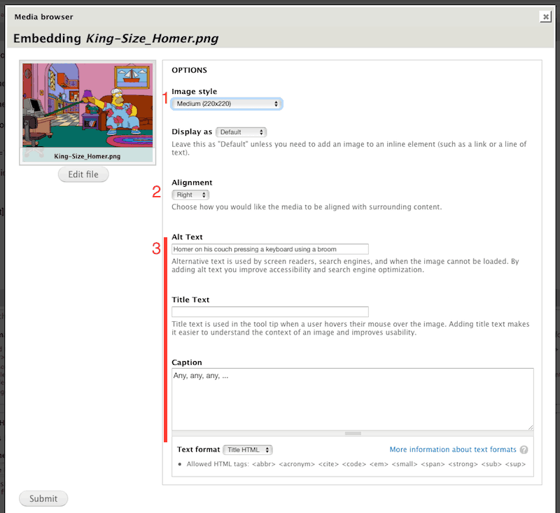 Screenshot of Media Upload embed options tab