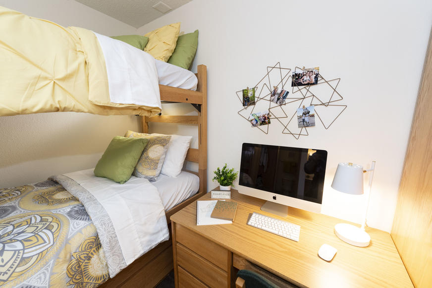 photo of a room in the woods