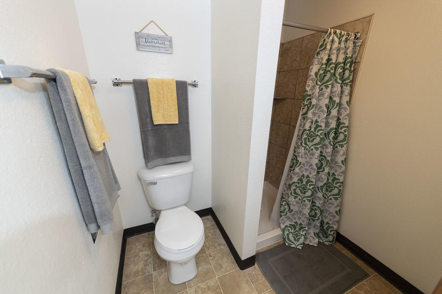 photo of a room in the woods