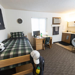 photo of a room in the woods