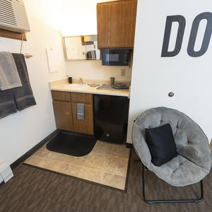 photo of a room in the woods