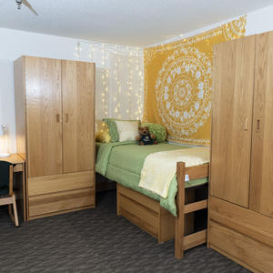 photo of a room in the woods