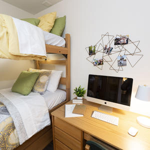 photo of a room in the woods