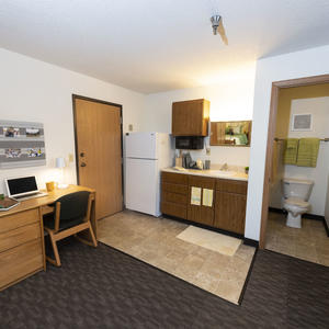 photo of a room in the woods