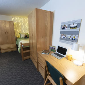 photo of a room in the woods