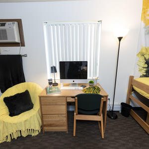 photo of a room in the woods