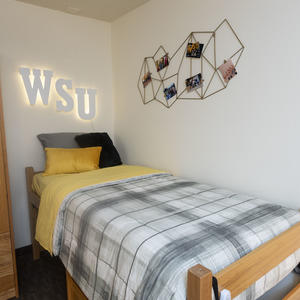 photo of a room in the woods