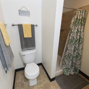 photo of a room in the woods