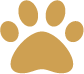 paw print icon